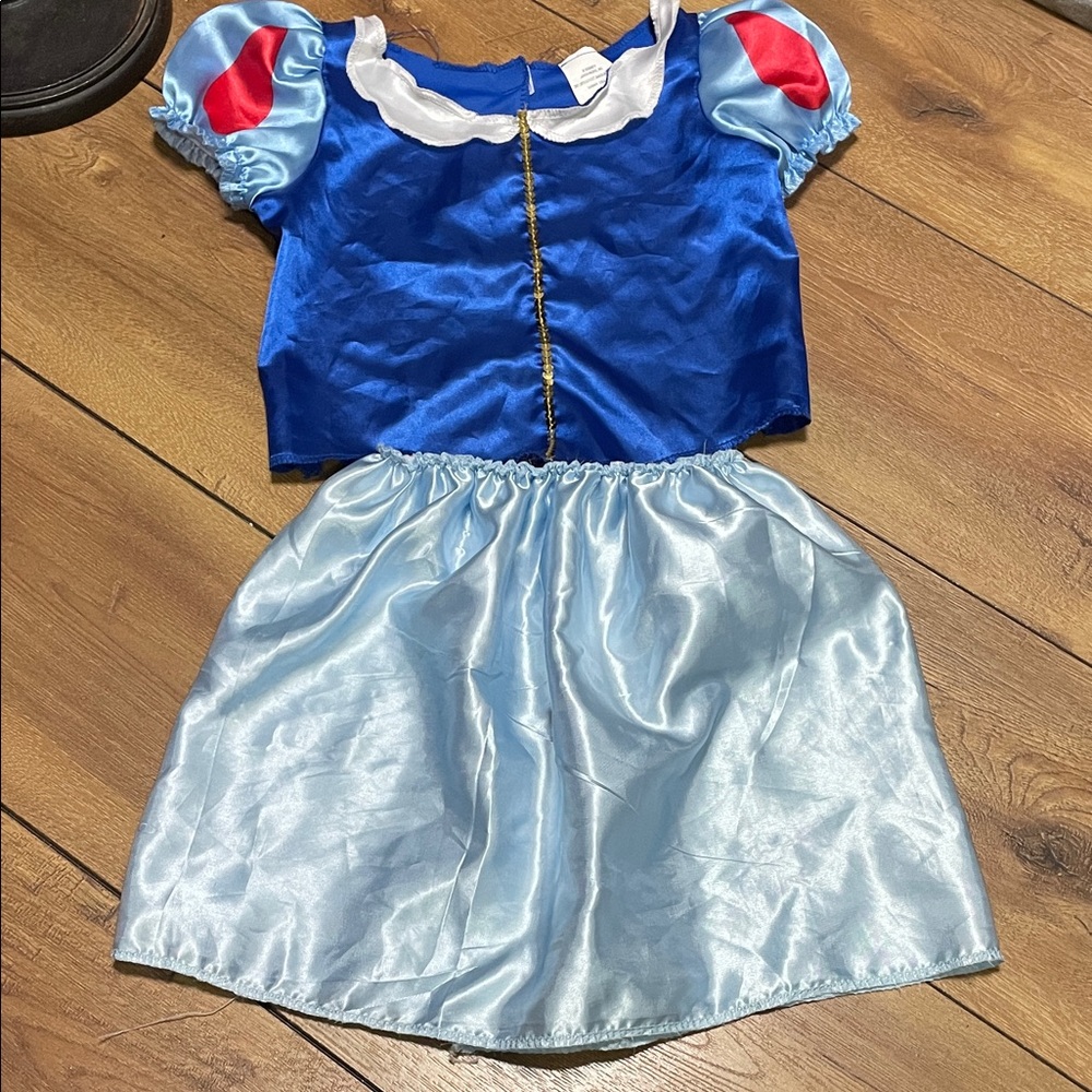 Disney Royal Blue and Light Blue Costume